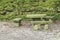 Overgrown stone benches and table