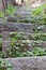 Overgrown Stone Steps in Riomaggiore Italy