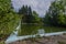overgrown swimming pool