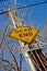 Overgrown telephone pole with Dead End road sign