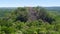 Overgrown temple at Calakmul