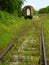 Overgrown track and neglected train carriage