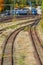 Overgrown tracks with old wooden planks and wagons, Loebau, Saxony, Germany