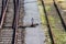 Overgrown tracks and rail switch with old wooden planks, Loebau, Saxony, Germany