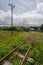 Overgrown train tracks landscape