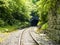 Overgrown Train Tunnel