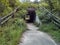 Overgrown Tunnel with Path