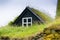 Overgrown Typical Rural Icelandic house closeup