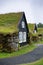 Overgrown Typical Rural Icelandic house at overcast day