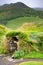 Overgrown Typical Rural Icelandic Underground house