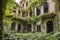 overgrown vines climbing the walls of a crumbling mansion