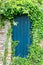 Overgrown wooden door in an old brick wall