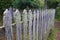 Overgrown wooden garden fence detail, at a farm, Patagonia, Argentina