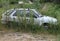 Overgrown wreck of automobile in PodkerepuÅ¡ky, Bratislava