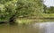 Overhanging willow trees in a wild freshwater tidal area