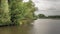 Overhanging willow trees in a wild freshwater tidal area