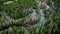 Overhead aerial camera shoots twisting rivers with a fast flow in a dense forest, houses nearby in Alaska, USA