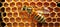 Overhead closeup of a honeycomb with a bee. ai generative illustration