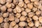 Overhead closeup shot of a huge pile of walnuts displayed under the sun