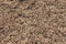 Overhead full frame view of sand grains with rough texture at beach