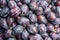 Overhead of a Heap of Purple Plums for Backgrounds