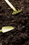 Overhead of miniature gardening trowel and rake on dark soil with bark pieces, with copy space