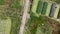 Overhead moving forward view of green leaves of Chinese cabbages