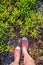 Overhead photo of feet on a background of exotic plants. Women feets view from above. Exploring, travelling, tourism, leisure.