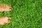 Overhead photo of feets on grass background.