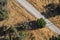 Overhead of Savanna Through Road