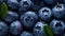 Overhead Shot of Blueberries with visible Water Drops. Close up.