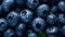 Overhead Shot of Blueberries with visible Water Drops. Close up.