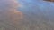 Overhead shot of a flock of flying white-naped cranes, tracking shot