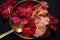 overhead shot of hibiscus petals in a brass scoop