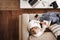 Overhead Shot Looking Down On Woman Working As Social Media Influencer At Home Lying On Sofa