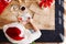 Overhead Shot Looking Down On Woman Writing In Christmas Card And Wrapping Gift Wearing Santa Hat