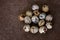 Overhead shot of speckled quail eggs on a brown surface