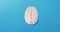 Overhead video of white brain on blue background with copy space