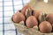 Overhead view of brown chicken eggs in an open egg carton. Fresh chicken eggs background