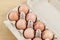 Overhead view of brown chicken eggs in an open egg carton. Fresh chicken eggs background