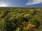 Overhead view of dense forest