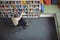 Overhead view of disabled school teacher selecting book in library