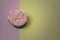 Overhead view food photography of homemade cupcake with pink buttercream topping and a pastel color background