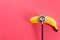 Overhead view of fresh banana with stethoscope by copy space over pink background