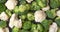 Overhead view of fresh broccoli and cauliflower florets