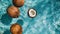 Overhead view of fresh coconuts floating in a summer swimming pool