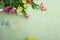Overhead view of green flowers composition holiday background spring concept