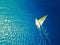 Overhead view of a laser sailboat in warm tropical waters