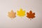 Overhead view of maple leaves on beige surface, autumn concept