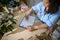 Overhead view of multi ethnic businesswoman florist drawing composition of flowers for special festive event. Copy space